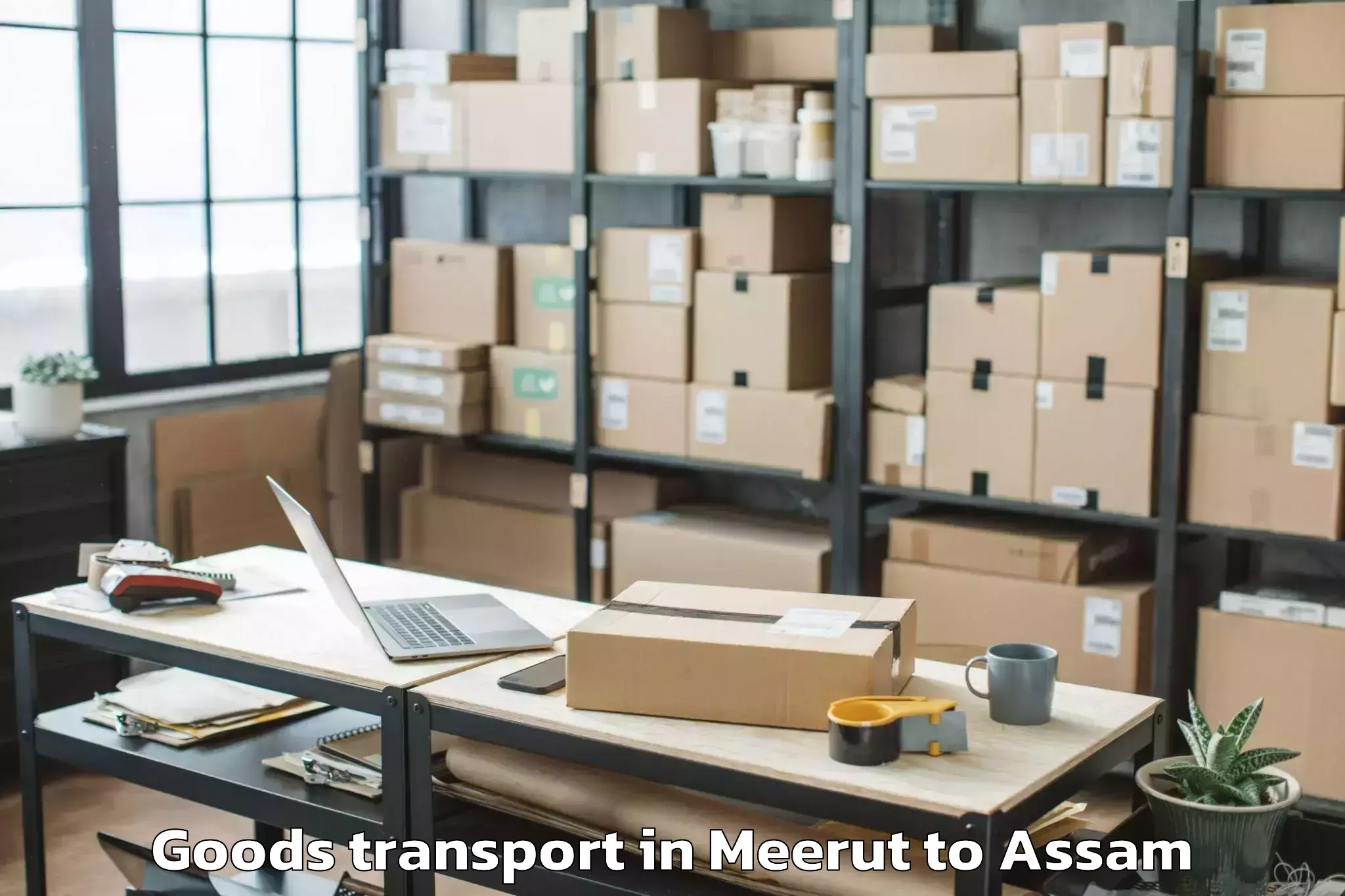 Professional Meerut to Jamugurihat Goods Transport